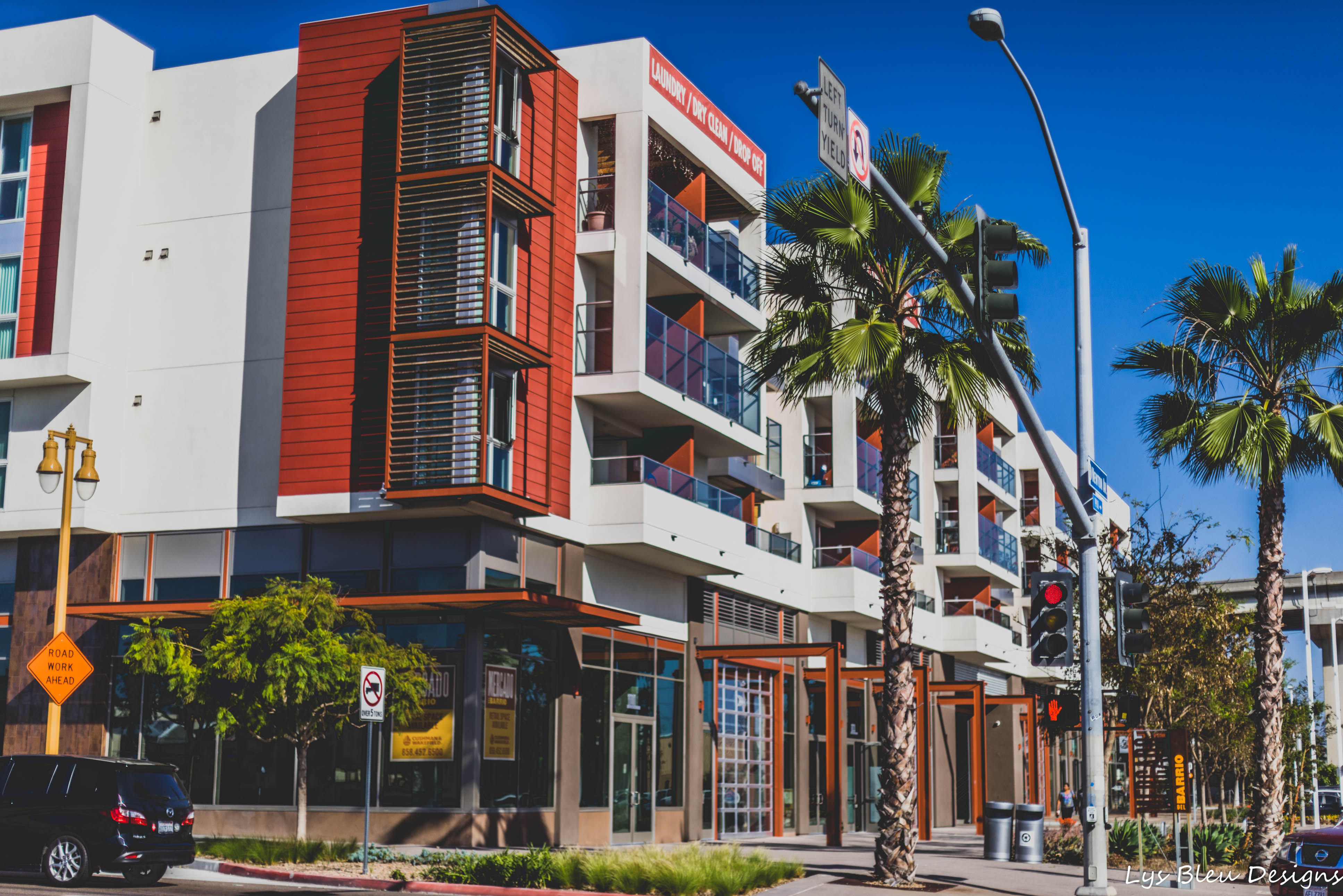 barrio logan w (116 of 150) Lys Bleu Designs