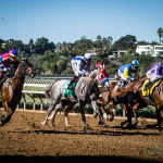horse racing del mar racetrack horses gambling
