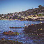 la jolla, san diego, ocean, cliffs, beautiful, scenic, landscape photography 1