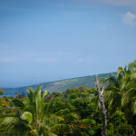 hawaii photos - hawaii pictures - hawaii images - big island - palm trees - paradise - tropical island - ocean
